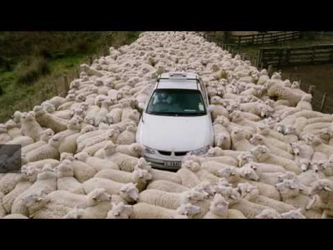 Топ 5 самые странные научные открытия Интересное видео нелепые изобретения