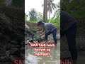 #petani #shorts