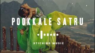 Pookkale Satru - Slowed and Reverb Version - Sticking Music - I - 🎧🎧🎧