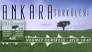 Mehmet Demirtaş - Atım Araptır Resimi