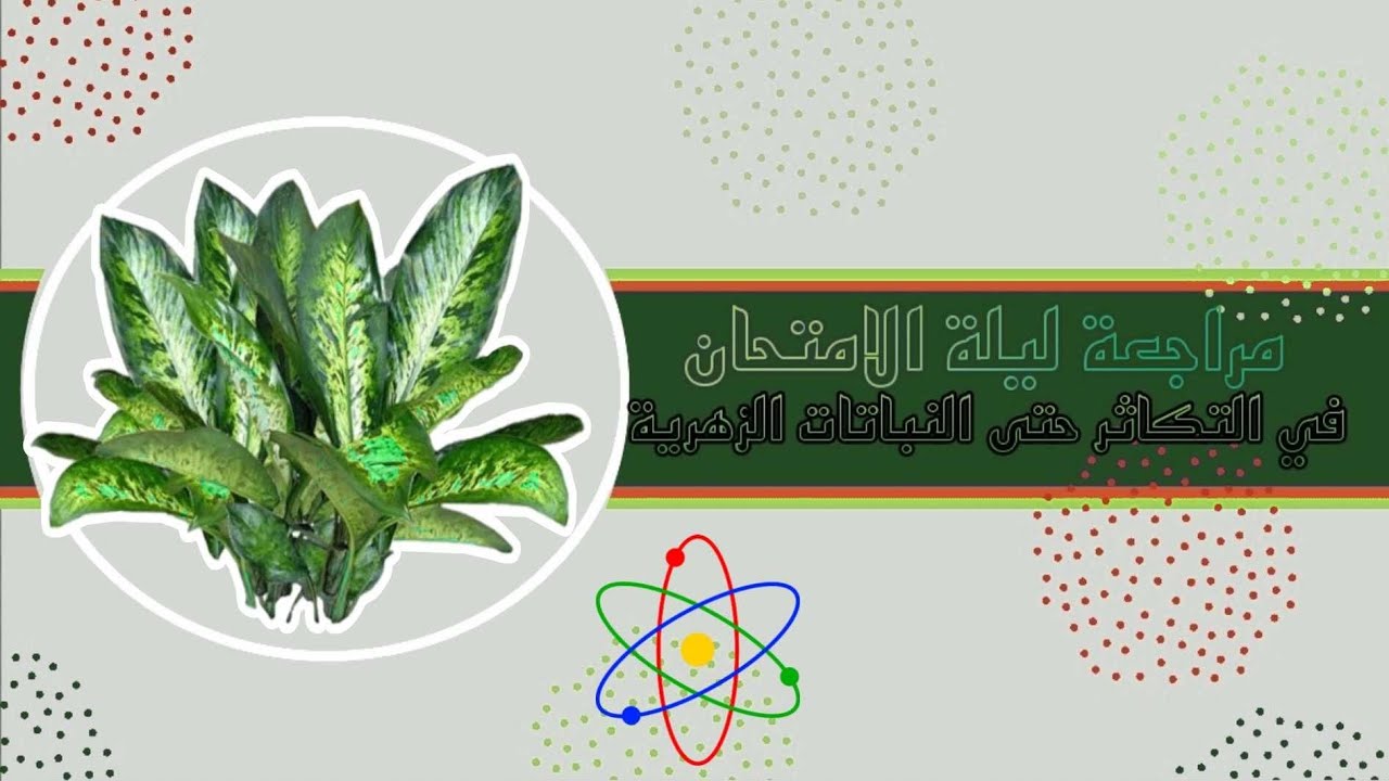 مراجعة ليلة الامتحان على التكاثر حتى النباتات الزهرية.