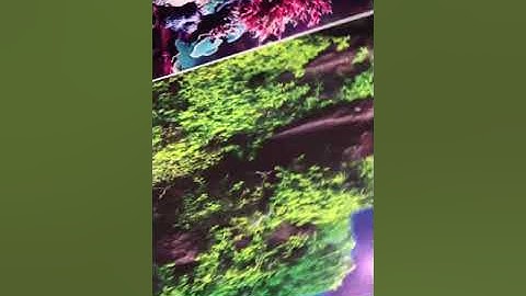 Trực tiếp review sản phẩm tranh 3D bể cá cảnh - trung3D - 0356930555