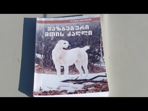 ქართული ნაგაზი