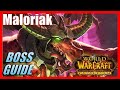 MALORIAK BOSS GUIDE - Blackwing Descent