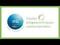 1  concepts de base des cycles biogochimiques