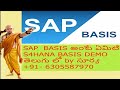 SAP S/4HANA BASIS DEMO CLASS BY SURYA +91-6305587970