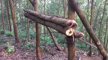 Tời treo vận chuyển vật liệu lên núi