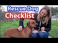 Ultimate RESCUE DOG Checklist | Dog MUST-HAVES