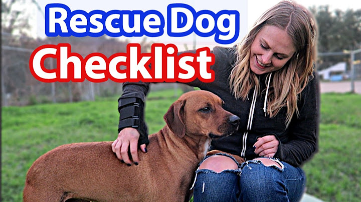Ultimate RESCUE DOG Checklist | Dog MUST-HAVES