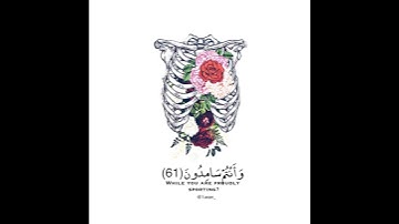 ماتيسر من "سورة النجم"الايه(٥٩-٦٢)بصوت حسام الدين،حالات واتساب،قران كريم🌺