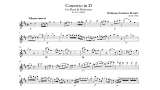 W. A. Mozart - Concerto No. 2 in D, K. 314 1st movt ♩=120 (Fast) Flute & Piano midi