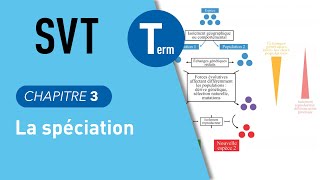 Terminale SVT : la spéciation