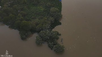 RIVER CRUISE TELUK INTAN (PULAU BANGAU) #TourismPerak #PulauBangau #TelukIntan