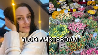 Vlog Amsterdam| Музей Ван Гога, Pizza Cruise Amsterdam