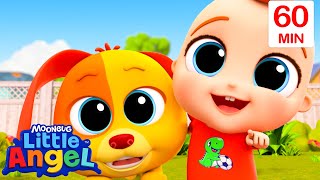 Good Boy Bingo! 🐶 | Little Angel | Best Animal Videos for Kids | Kids Songs and Nursery Rhymes