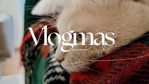 Cuteness Overload | Vlogmas 2