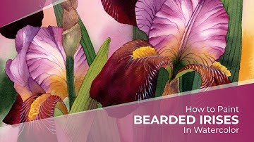 How to Paint Bearded Irises in Watercolor - Tutorial Preview
