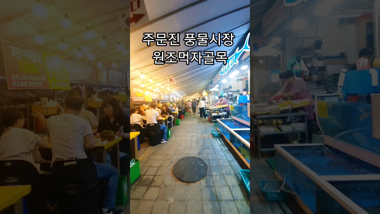 주문진 여행 가면 꼭 들려보세요 낭만이란 배를타고