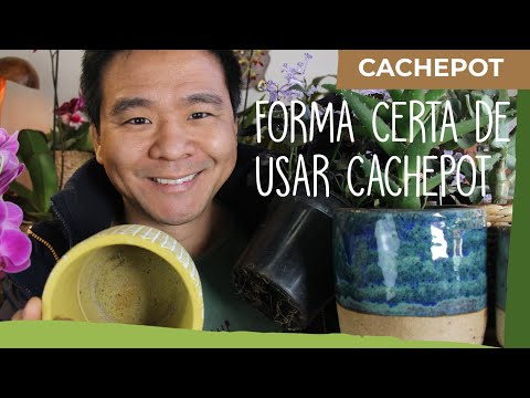 Vídeo: O que colocar nos cachepots?