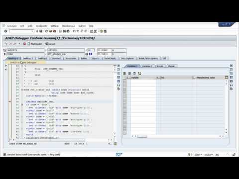 SAP ABAP Debugging for Functional Consultants