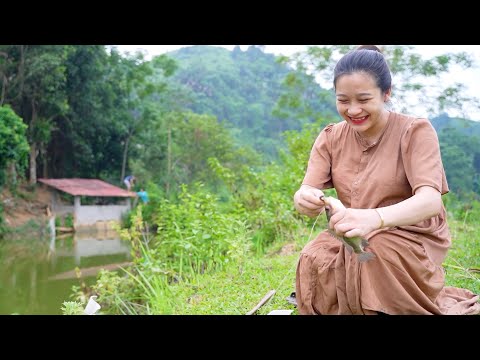 Video Chăn trâu, câu cá cuộc sống thôn quê bình dị đáng mơ... - youtube