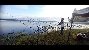 Sông ray mùa nước lên. Tuansongray #cauca #rê lóc