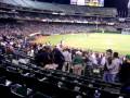 Epic Beard Man tazed by police at Oakland Ballgame