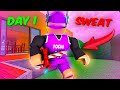 I became a tryhard in mm2 for 24 hours  murder mystery 2 funny moments