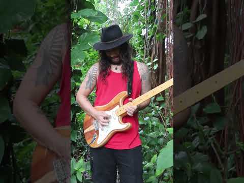 Amazingly beautiful guitar solo #guitar #shorts