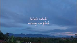 Lalaki - Doel Sumbang (LIRIK)