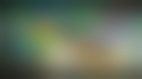 WHAT HAPPEND WHEN YOU FINISH THE FISH INDEX IN MINING SIMULATOR 2