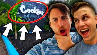 COOKIES OPENS IN FLORIDA!! | Couch Lock News #38