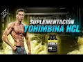  suplemento yohimbina hcl gym  para qu sirve cmo funciona cmo tomar y efectos secundarios