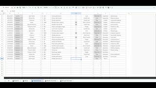 Freelancer Finance Income & Expense Tracker