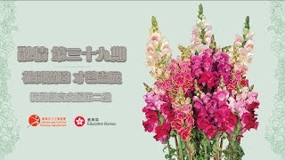 融情 第三十九期  花開滿園 才藝盡展