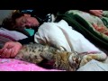 癒し❗デカイサイズですが側にいることが