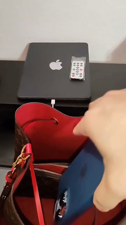 Пуховик в стилі louis vuitton луї вітон, Red Louis Vuitton Epi Petit Noe  Bag