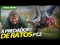 ENCONTREI A MAIOR CAÇADORA DE RATOS DO SUL! | RICHARD RASMUSSEN