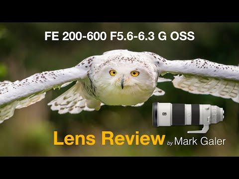 Sony FE 200 600 G and FE 100-400 GM Lens Review and Comparison Test