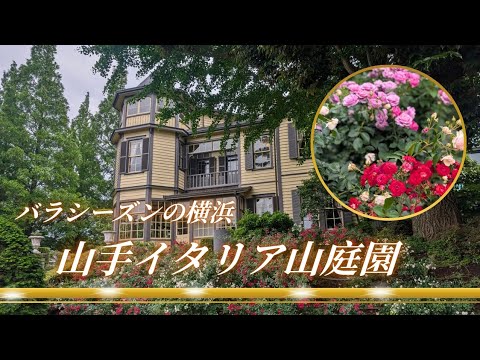 【神奈川散歩】横浜ローズウィーク!山手イタリア山庭園でバラ鑑賞と元町でお参り!?