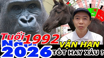 Xem Vận Hạn Tuổi Nhâm Thân 1992 năm 2026 RA SAO ?  Phong Thủy 100 Năm