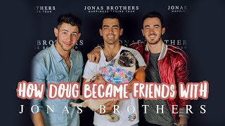 How Doug The Pug Became Friends With The Jonas Brothers