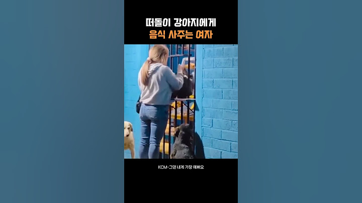 떠돌이 강아지에게