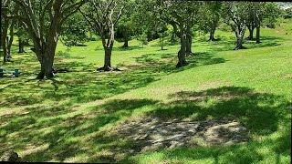 Immerse Yourself in Serenity at the 3 Houses Park & Spring in Barbados