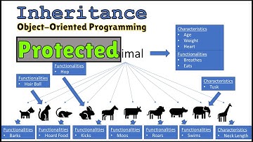 How Access Modifiers Work with Inheritance in Object Oriented Programming | Protected Access