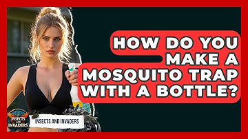 How Do You Make A Mosquito Trap With A Bottle? - Insects and Invaders