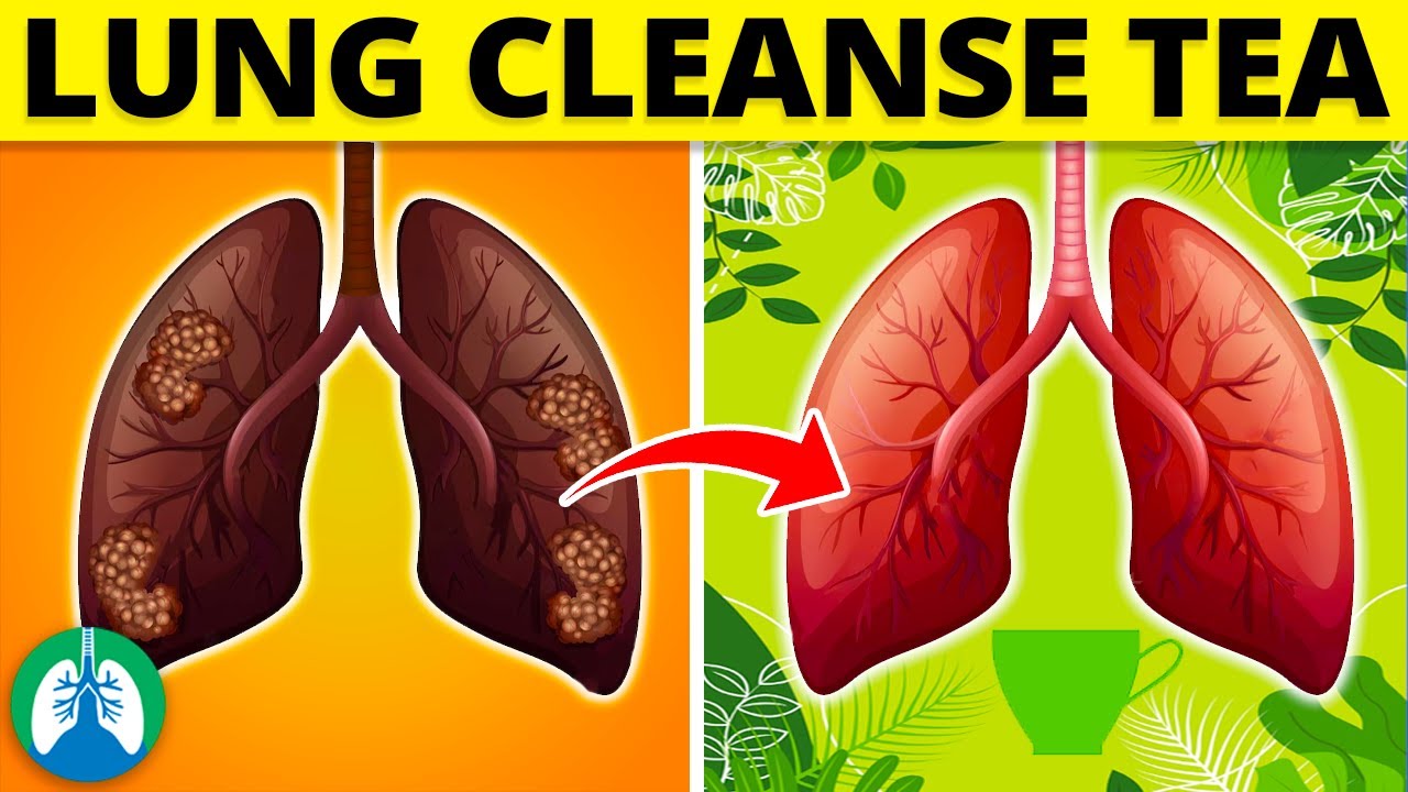 21+ Best Teas for Lung Cleanse and Breathing Support (2024)