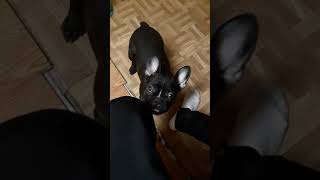 Thicky Minajs 6 Month Update