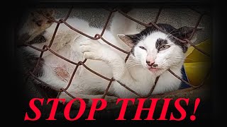 Animal Abuse on Youtube disguised as Animal Rescues 👿⛔