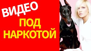 видео: Певица Глюкоза ЧЕСАЛА у себя В ПАХУ, а под конец её совсем развезло Концерт в Красноярске ЧТО БУДЕТ? картинка: Певица Глюкоза ЧЕСАЛА у себя В ПАХУ, а под конец её совсем развезло Концерт в Красноярске ЧТО БУДЕТ?